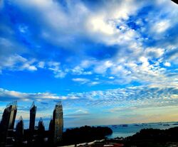 Harbour View Towers (D4), Condominium #468465641